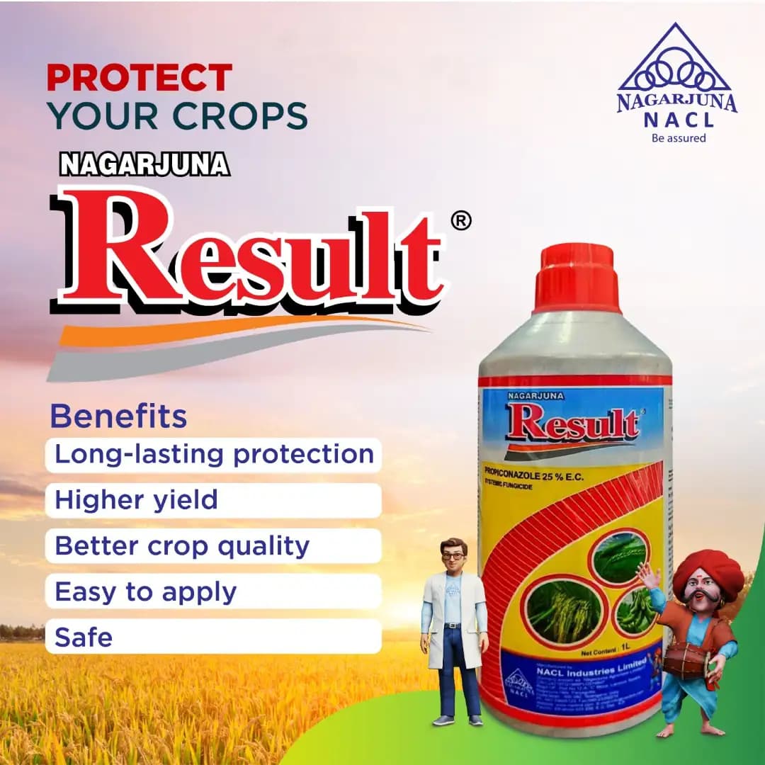 NACL Result Propiconazole 25% EC Fungicide, Systemic Broad-Spectrum, Effective For Multiple Crops - Image 2