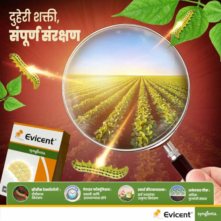 Syngenta Evicent Emamectin Benzoate 5% + Lufenuron 40% WG Insecticide, Effective For Lepidopteran, FAW, DBM, Helicoverpa Pests Control - Image 6