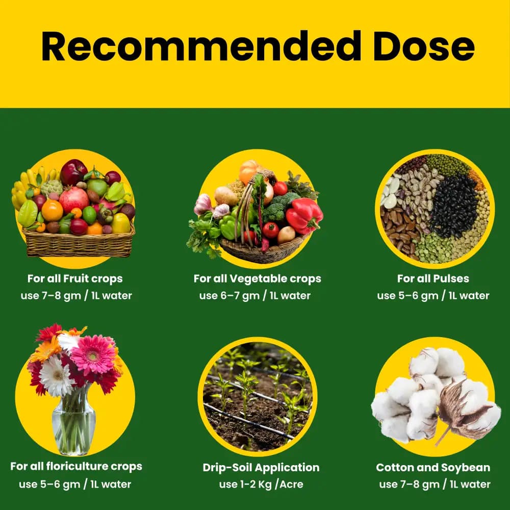 Utkarsh SOP (00:00:50 + 17.5 S) (Potassium Sulphate) K2SO4 (100% Water Soluble Fertilizer) Foliar Spray Nutrition - Image 8