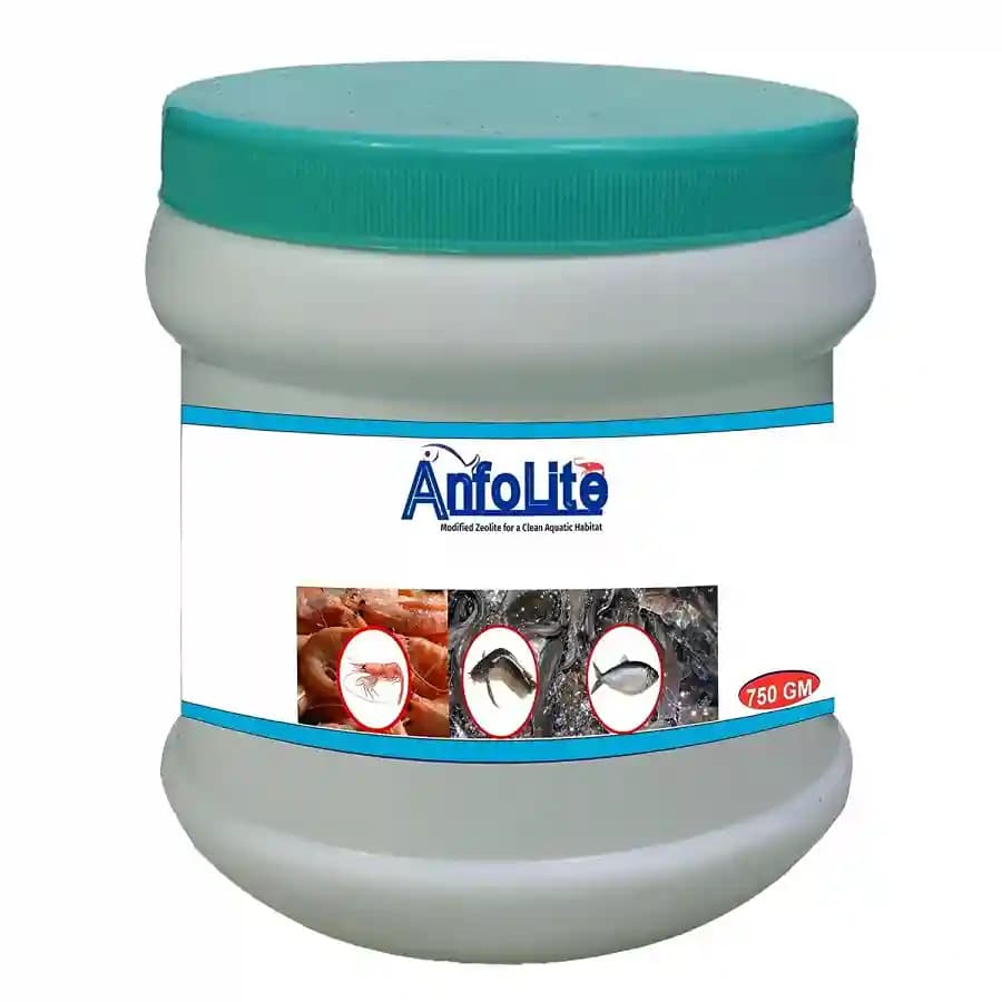 एंफोलाइट जिओलाइट, स्वच्छ जलीय आवास के लिए, मछलियों और झींगों के बेहतर स्वास्थ्य और वृद्धि के लिए एक्वाकल्चर आहार की आपूर्ति करता है - Image 3