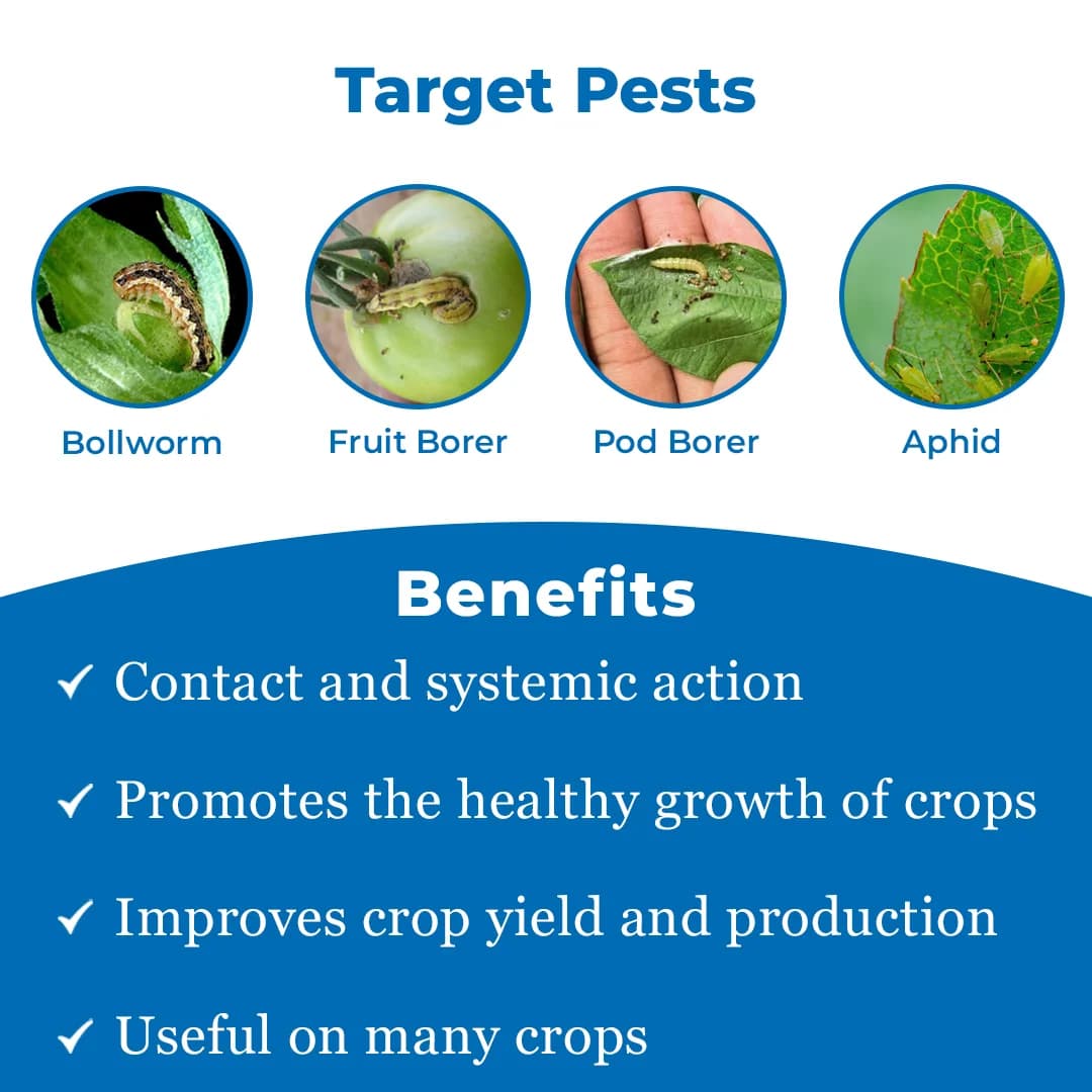 Seturn 505 - Chlorpyriphos 50% + Cypermethrin 5% EC Insecticide With Contact and Systemic Action - Image 3