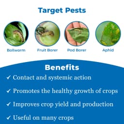 Seturn 505 - Chlorpyriphos 50% + Cypermethrin 5% EC Insecticide With Contact and Systemic Action 3