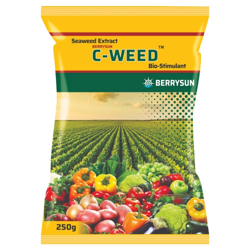 Berrysun C-WEED Seaweed Extract BioStimulant, Enhances Soil Health And Root Growth For All Crops