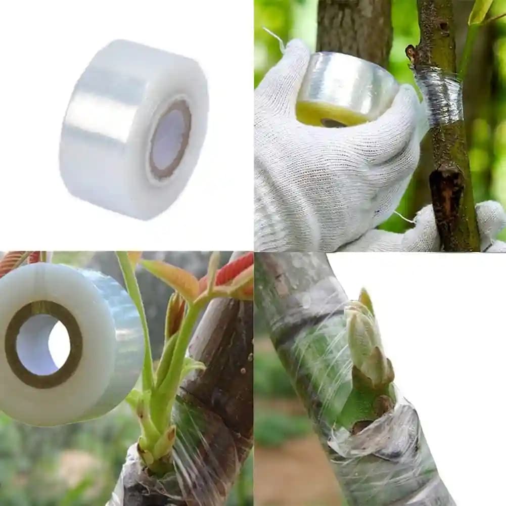 Siddhi Plant Grafting Tape - Image 8