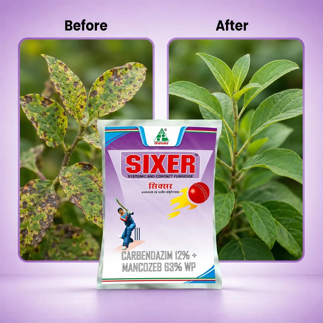 Dhanuka Sixer Fungicide - Image 6