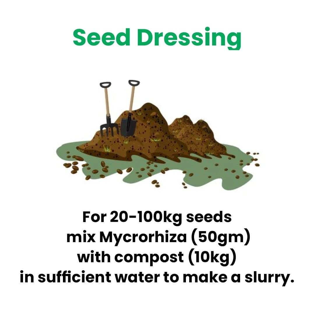 Titan Agritech MYCOPEP Mycorrhizae Bio Fertilizer, Soil Fertility And Plant Nutrition - Image 2