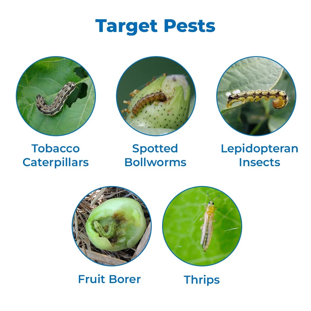 Tata Summit Insecticide - Image 3