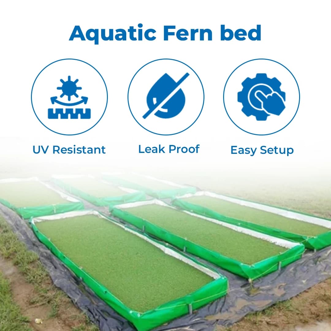 Greeno Biotech 450 GSM Azolla Bed - Image 3