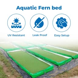 Greeno Biotech 450 GSM Bed for Azolla Cultivation HDPE UV Stabilized, Mutli - Threated Stitching Quality, Waterproof , Well Tested, Durable. 3