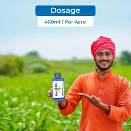 हेक्सानोब - हेक्साकोनाज़ोल 5% एससी, पाउडरी फफूंदी को नियंत्रित करने के लिए बहुत प्रभावी प्रणालीगत कवकनाशी। 5