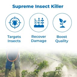 Adama Barazide Novaluron 5.25% + Emamectin Benzoate 0.9% SC, Controlling a Wide Range of Lepidopteran Pests 3