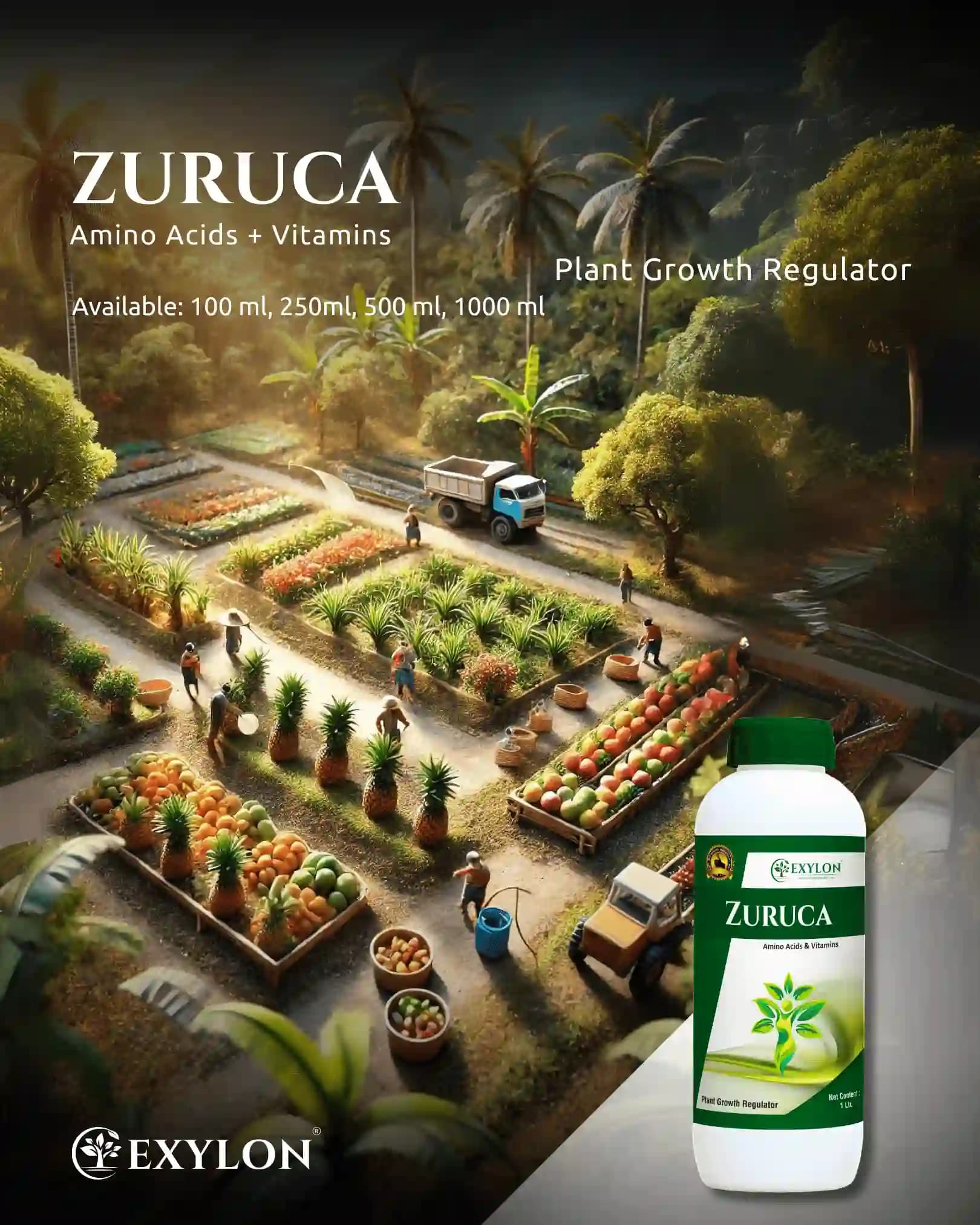 Exylon Zuruca Amino Acid & Vitamin Plant Growth Regulator, Bio-Stimulant for Growth & Stress Resistance For All Crops - Image 6