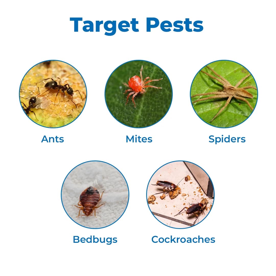 Shivalik House Care Insecticide - Image 3