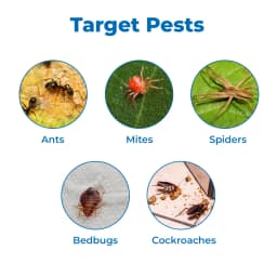 Shivalik House Care AlphaCypermethrin, 10% SC, Used for Indoor Residual Spray to Control Mosquitoes, Houseflies, Cockroaches 3