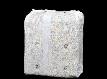 SporeKart Oyster Mushroom Ready To Fruit Mushroom Block, RTF Bag, Best For Kitchen, Garden And Home Environment. - Image 1