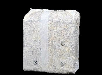 SporeKart Oyster Mushroom Ready To Fruit Mushroom Block, RTF Bag, Best For Kitchen, Garden And Home Environment.