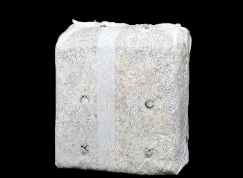 SporeKart Oyster Mushroom Ready To Fruit Mushroom Block, RTF Bag, Best For Kitchen, Garden And Home Environment.