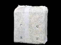 ऑइस्टर मशरूम फ्रूटिंग के लिए तैयार मशरूम ब्लॉक, आरटीएफ बैग, रसोई, बागवानी और घर के वातावरण के लिए सर्वोत्तम 3