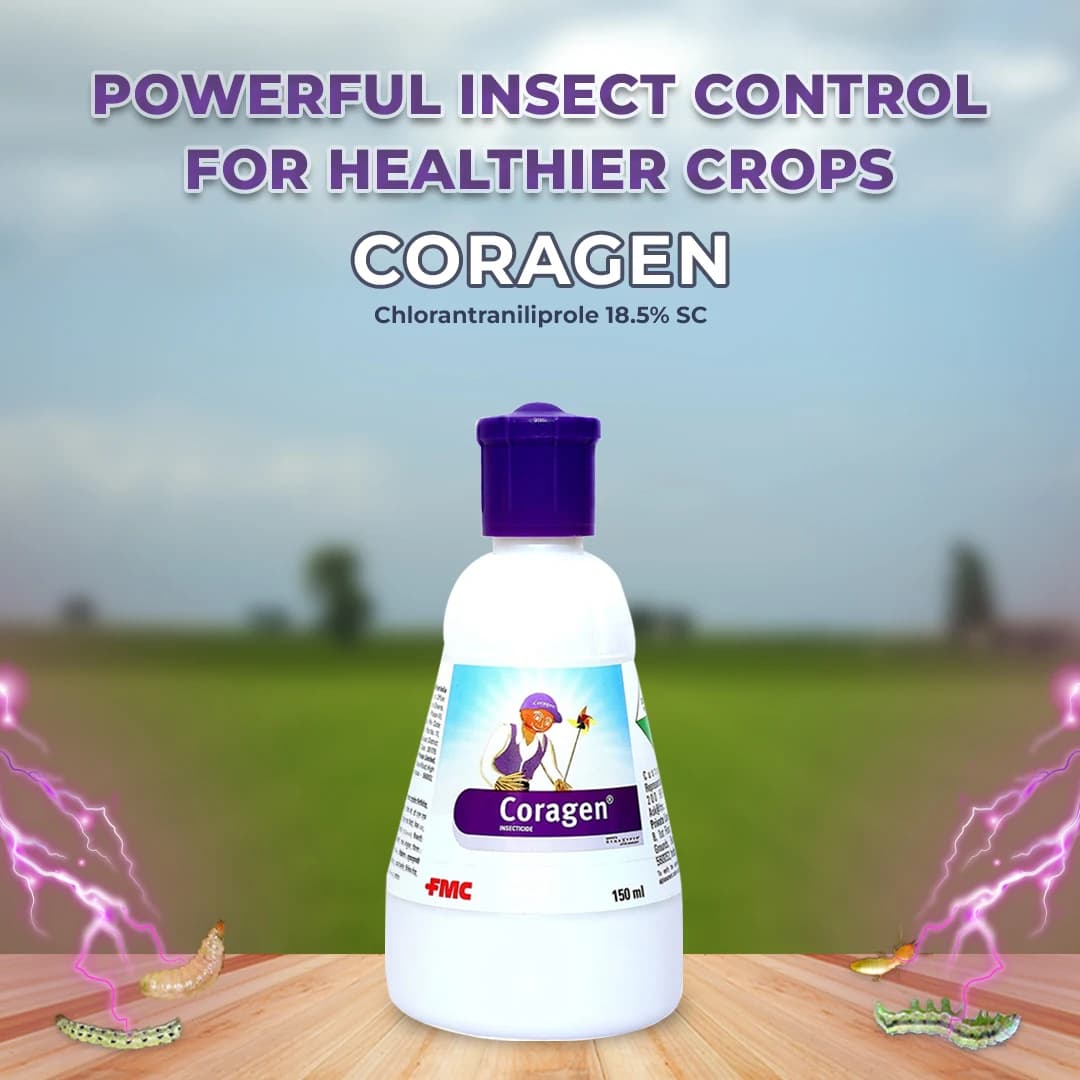 एफएमसी कोरागेन क्लोरांट्रानिलीप्रोल 18.5% डब्ल्यूडब्ल्यू एससी, व्यापक प्रभावी कीटनाशक - Image 2