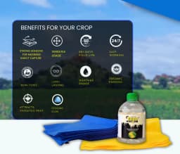 Chipku Pest Control Kit, Includes Gum Bag, Sticky Traps, DIY Pack , Gum Bottle, Yellow & Blue Polybags 5