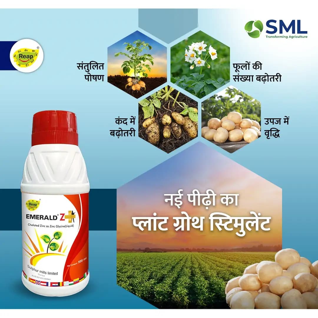 SML Emerald Z Plus Zinc Glycine Chelated Fertilizer, Enhanced Plant Growth And Yield - Image 2