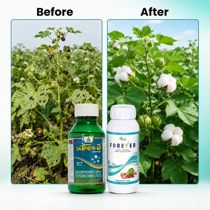 AgriBegri Sucking Pest & Growth Combo (Dhanuka Super D 500ml + NCS Forever 500ml) Protects Crops & Enhances Growth, Ideal For Sustainable Farming - Image 6