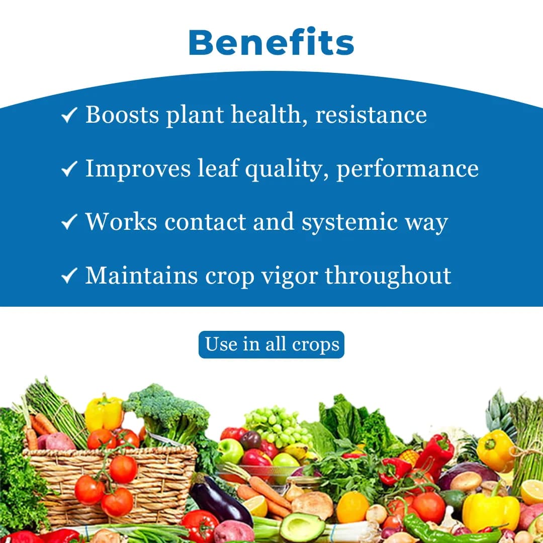 EBS Coxy-50 Copper Oxychloride 50% WP Fungicide, Broad Spectrum That Controls Fungal And Bacterial Diseases - Image 4