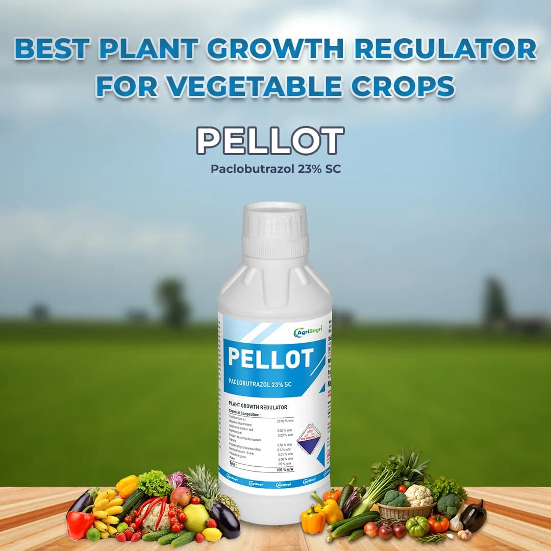 Pellot - Paclobutrazol 23% SC Plant Growth Regulator, Ideal for Mango and Other Major Vegetable Crops - Image 2