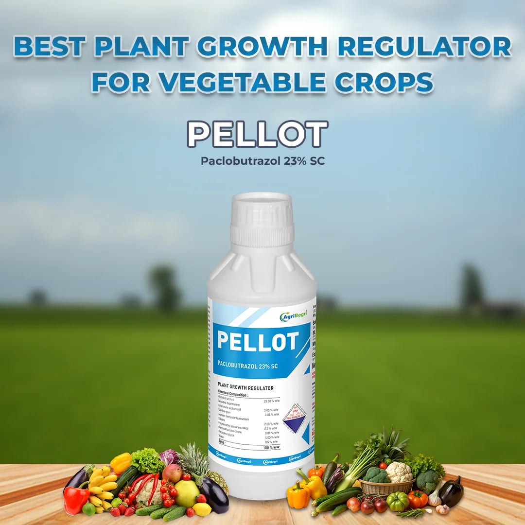 Pellot Plant Growth Regulator - Paclobutrazol 23% SC