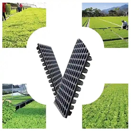 Siddhi Plastic Seedling Nursery Tray , Best Quality, Single Time Use Only and Boosts Productivity. - Image 8