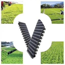 सिद्धि प्लास्टिक सीडलिंग नर्सरी ट्रे, सर्वोत्तम गुणवत्ता, केवल एक बार उपयोग और उत्पादकता बढ़ाता है। 8