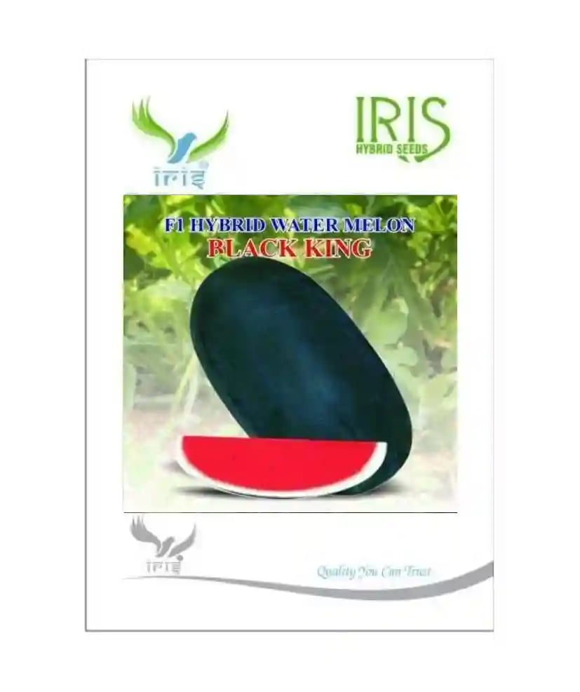 Iris Black King Watermelon Seeds - Tarbuj Seeds