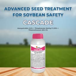 Swal Cascade Azoxystrobin 2.5% + Thiophanate Methyl 11.25% + Thiamethoxam 25% FS Fungicide, Dual Protection Against Fungal Diseases and Insect Pests 2