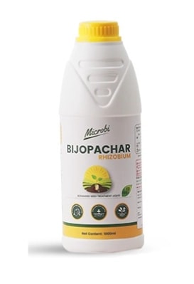 Dr.soil Bijopachar Rhizobium (ISO certified) Dr.soil seed treatment Groundnut, Green gram, Black gram, Peas, Soyabean, Beans, Cowpea, etc