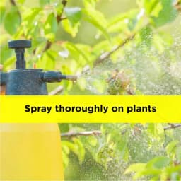 Titan Agritech Niimpa 10000 Azadirachtin 1% Biopesticide, 10000 PPM, Broad-Spectrum And Natural Pest Management 5