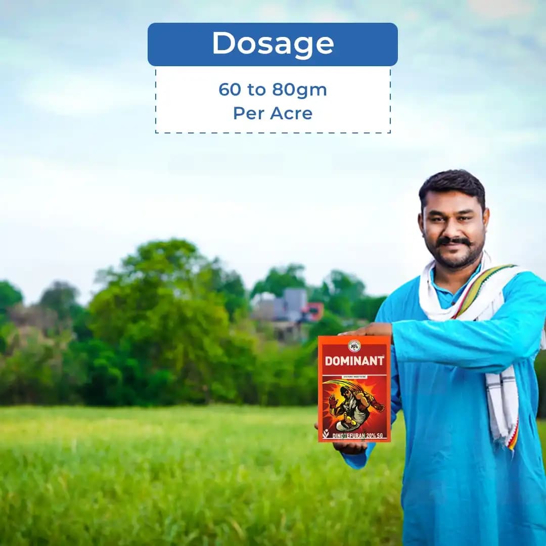 IIL Dominant Insecticide - Image 5