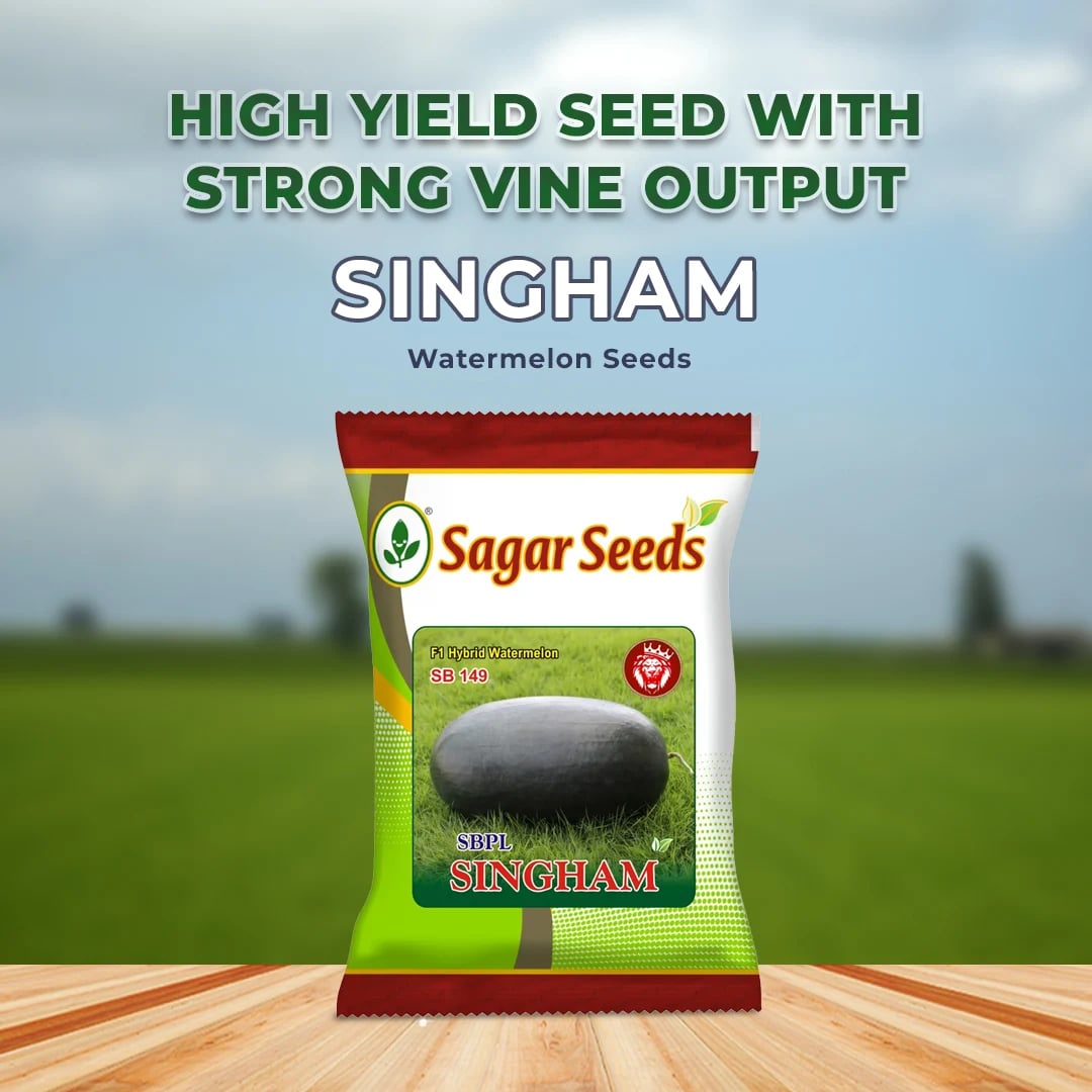 Sagar Singham Watermelon Seeds - Tarbuj Seeds