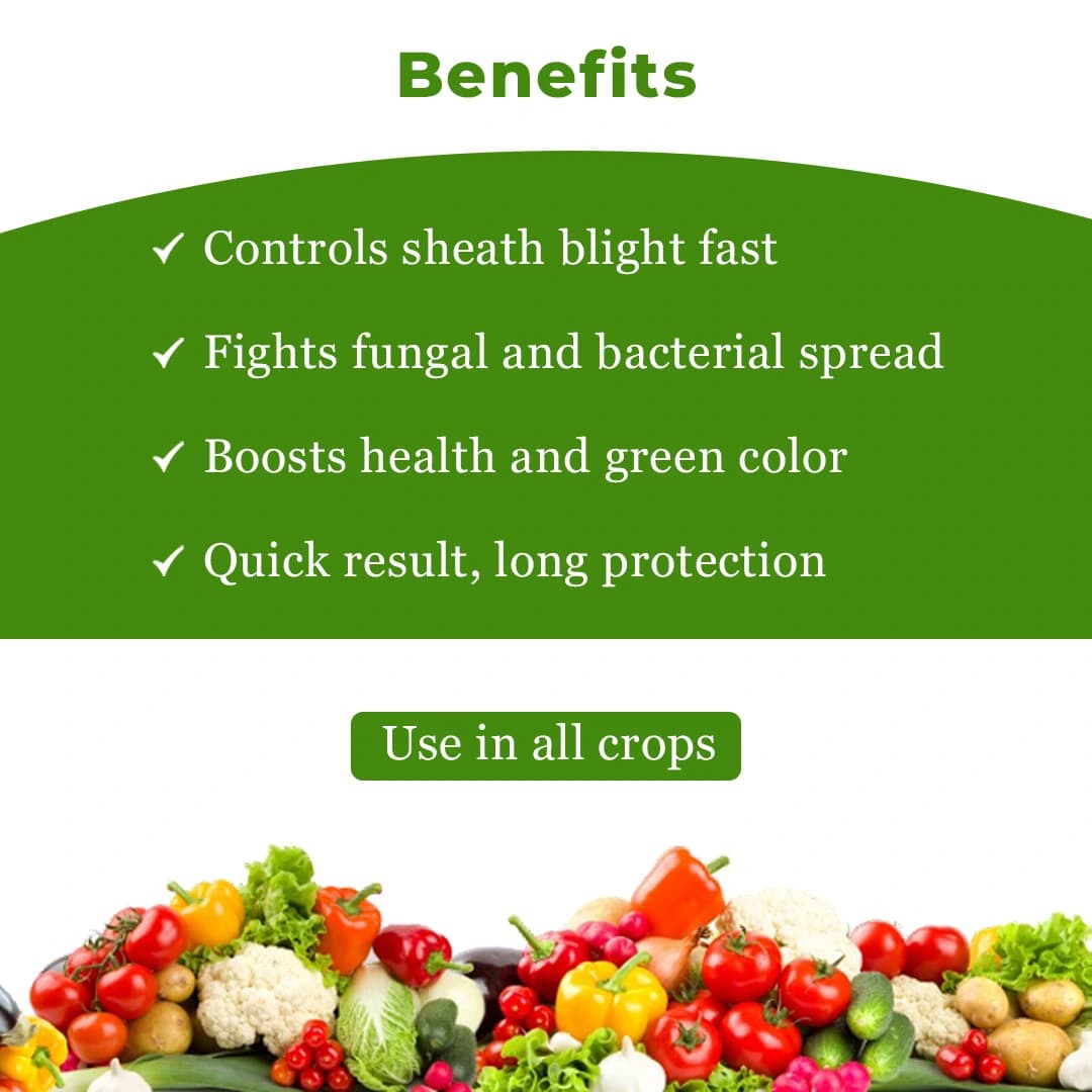 Willowood VARIX Difenoconazole 6% + Validamycin 6% SC Fungicide, Controls Broad Spectrum of Fungal and Bacterial Diseases - Image 4