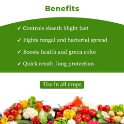 Willowood VARIX Difenoconazole 6% + Validamycin 6% SC Fungicide, Controls Broad Spectrum of Fungal and Bacterial Diseases 4