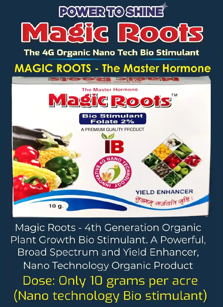 Organic Growth Kit (Magic Roots 10 Gm Nano PGR + Magic Flower Booster 20 Gm Nano Flowering Stimulant + Roots Power 200 Gm Rooting Hormone) - Image 5
