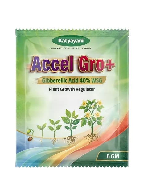 Katyayani Accel Gro Plus Gibberellic Acid 40% WSG, Increase Flower and Fruit Setting