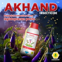 Sudarshan AKHAND Chlorantraniliprole 4.5% + Novaluron 11.5% + Emamectin Benzoate 1.5% SE Insecticide, Effective For Pest Control In Crops 2