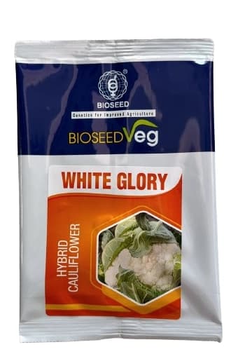 Bioseed White Glory Cauliflower F1 Hybrid Seeds, Dome Shaped With Pure White Color