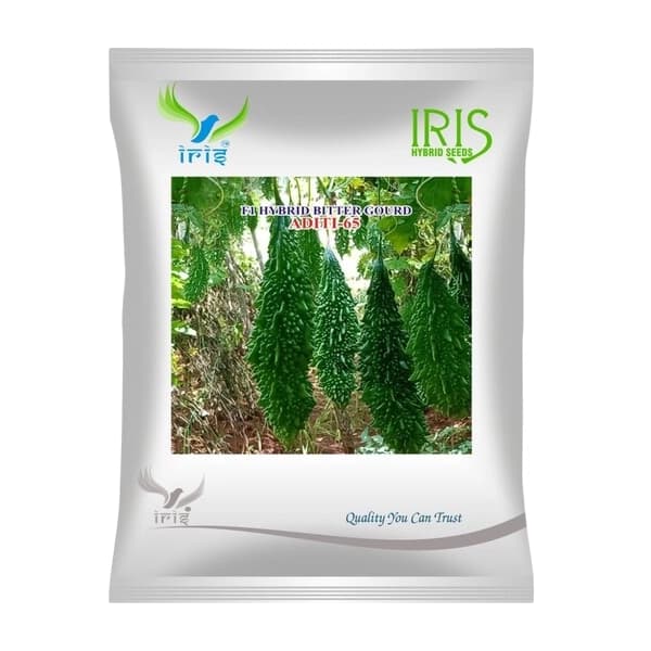 Iris Aditi-65 F1 Hybrid Bitter Gourd Seeds, High Yield, Vigorous Growth And Early Maturity - Image 1