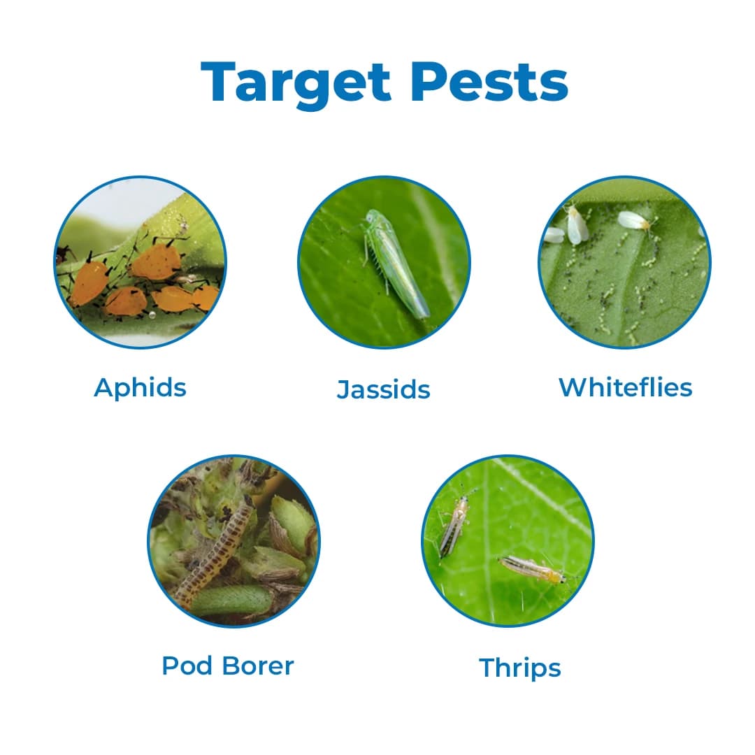 Dr. Anand Neem 0.15% Bio Insecticide, Prepared From Azadirachtin 1500 PPM and Neem Seeds Kernels Extract - Image 3