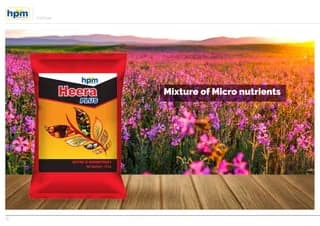 HPM Heera Plus (Mixture of Micronutrients) Fertilizer, Increases Crop Yield And Improves The Quality of Harvests. - Image 3
