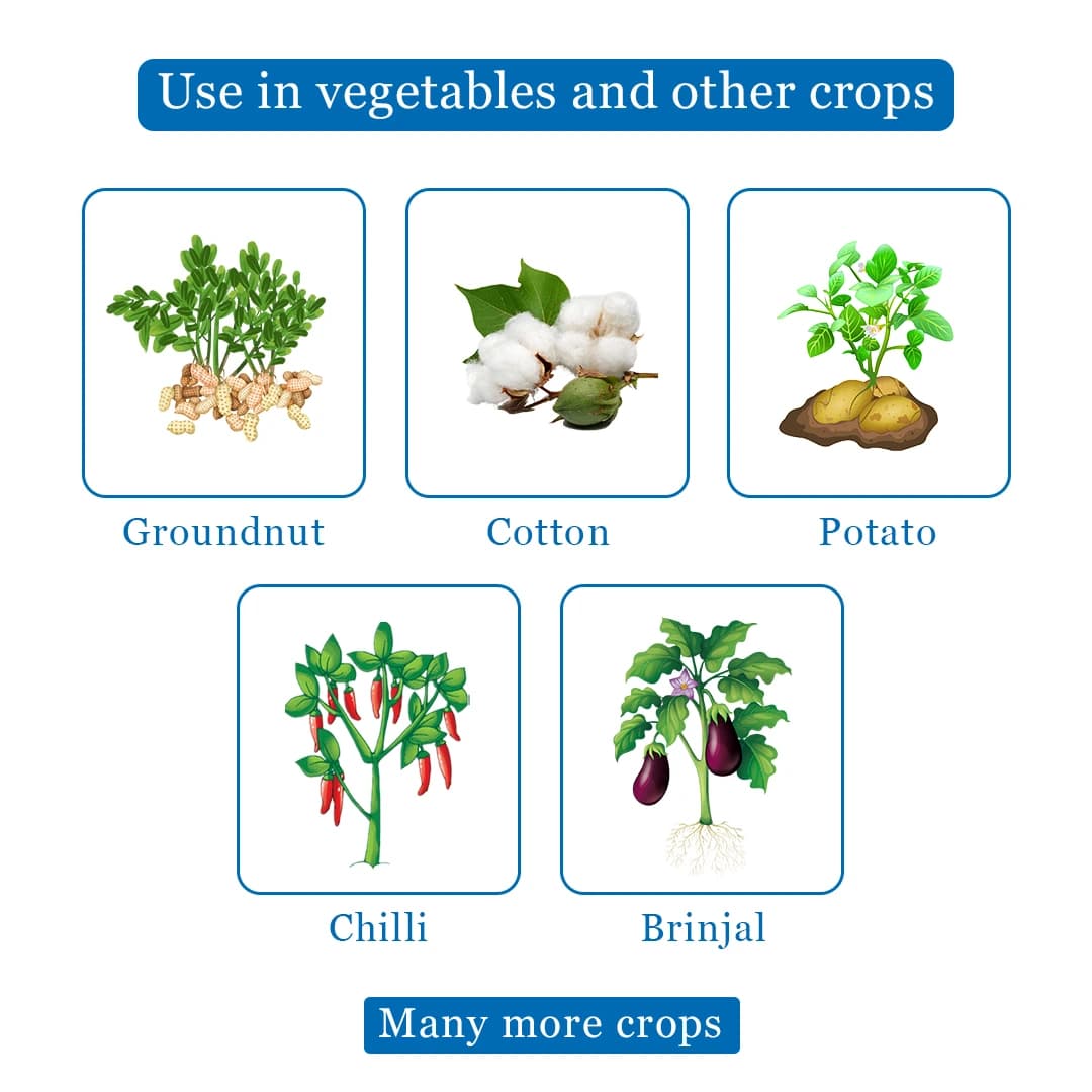 Tata Rallis Koranda Insecticide - Image 4