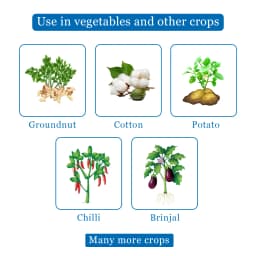 टाटा रेलिस कोरंडा क्लोरपाइरीफोस 50% + साइपरमेथ्रिन 5% ईसी, चयनात्मक और संपर्क कीट नाशक 4
