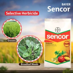 Bayer Sencor Metribuzin 70% WP Herbicide, Selective Herbicide, Effective Control On Weeds. 7