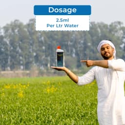 Gharda Chamatkar Growth Regulator, Mepiquat Chloride 5% Aqueous Solution, Excessive Vegetative Growth and Increase Crop Yield 5